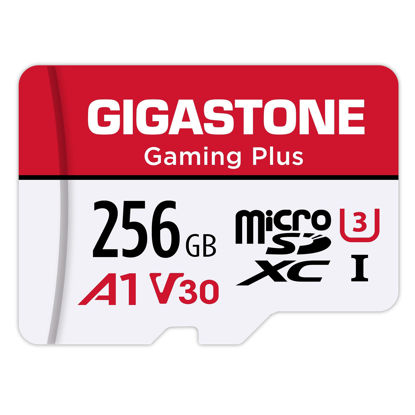 Picture of GIGASTONE 256GB Micro SD Card, Gaming Plus, MicroSDXC Memory Card for Nintendo, Wyze, GoPro, Dash Cam, Security Camera, 4K Video Recording, UHS-I A1 U3 V30 C10, up to 100MB/s, with Adapter
