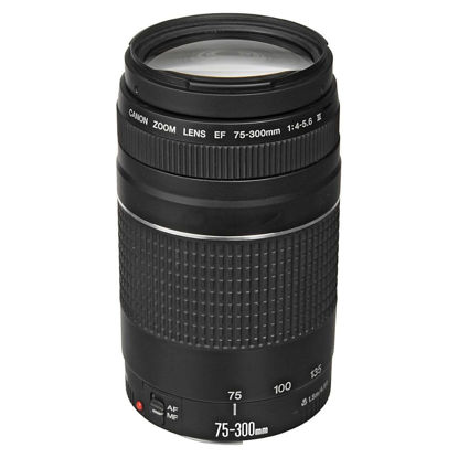 Picture of Canon EF 75-300mm f/4-5.6 III Telephoto Zoom Lens for Canon SLR Cameras, 6473A003 (Renewed)