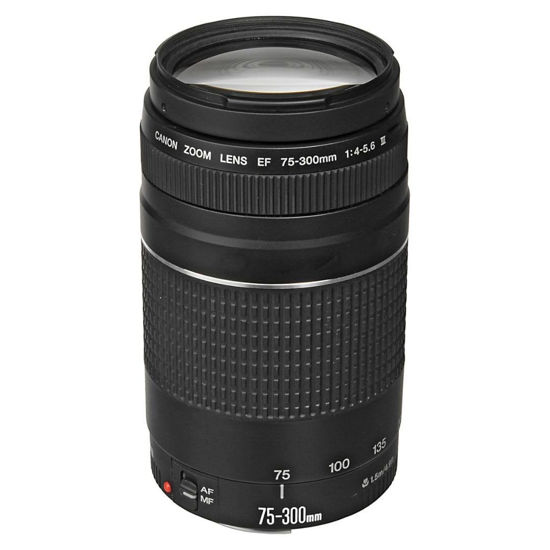 Picture of Canon EF 75-300mm f/4-5.6 III Telephoto Zoom Lens for Canon SLR Cameras, 6473A003 (Renewed)