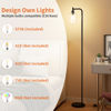 Picture of Ziisee Industrial Floor Lamp with Glass Shade - Black, LED Bulbs, Foot Pedal Switch, Easy Assembly