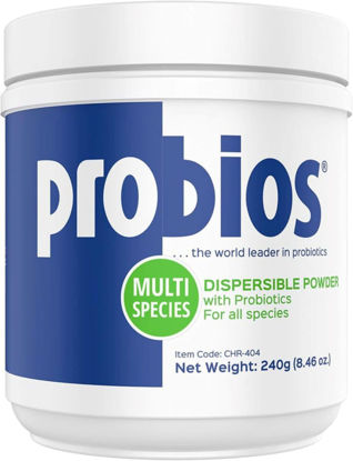 Picture of Probios Dispersable Powder - Probios Powder, Pet Probiotic, Probiotics for Swine, Equine, Sheep, Goat, Dog, Cat, Bird, Rabbit, Foals (240 gm)