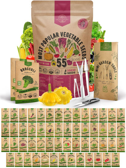 Picture of 55 Vegetable Seeds Variety Pack - 35,600+ Non-GMO Heirloom Seeds for Planting Vegetables and Fruits in Individual Seed Packets, Home Garden Seeds for Hydroponic, Indoor and Outdoors Gardening