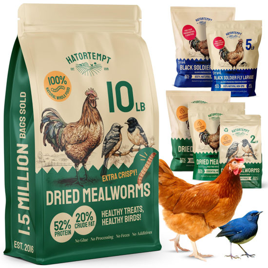 Picture of Hatortempt Bulk Dried Mealworms 10 Lbs - Non-GMO Mealworms for Chicken & Birds - Chicken Feed Treats for Laying Hens - Chick Feed - Organic Chicken Feed