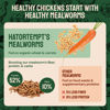 Picture of Hatortempt Bulk Dried Mealworms 10 Lbs - Non-GMO Mealworms for Chicken & Birds - Chicken Feed Treats for Laying Hens - Chick Feed - Organic Chicken Feed