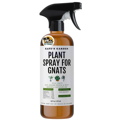 Picture of Kate's Garden Plant Spray for Insects & Getting Rid of Gnats. Fungus Gnat Killer & Bug Spray for Indoor Plants (16oz, Pet Safe, Non Toxic)