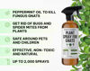 Picture of Kate's Garden Plant Spray for Insects & Getting Rid of Gnats. Fungus Gnat Killer & Bug Spray for Indoor Plants (16oz, Pet Safe, Non Toxic)