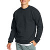Picture of Hanes Men's EcoSmart Sweatshirt, Black, XL