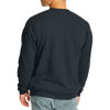 Picture of Hanes Men's EcoSmart Sweatshirt, Black, XL