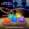 Picture of NATIONAL GEOGRAPHIC Mega Crystal Growing Kit for Kids- Grow 6 Crystals with Light-Up Stand, Science Gifts for Kids 8-12, Crystal Making Experiment, Science Kit for Girls and Boys (Amazon Exclusive)