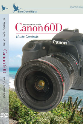 Picture of Blue Crane Digital Introduction to the Canon 60D Basic Controls Training DVD (zBC136)