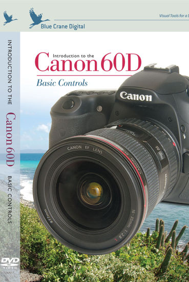 Picture of Blue Crane Digital Introduction to the Canon 60D Basic Controls Training DVD (zBC136)