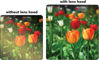 Picture of Tronixpro 62mm Pro Series Hard Tulip Lens Hood for Pentax SMC DA 18-135mm F/3.5-5.6 ED AL (IF) DC WR Lens, Pentax Zoom Telephoto 60-250mm f/4 ED DA* SDM Autofocus Lens