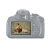 Picture of MegaGear LCD Optical Screen Protector For Canon EOS 750D, 760D, 700D (Rebel T6i, T6s, T5i)