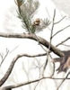 Picture of LENSCOAT Canon 100-400 - Realtree AP Snow add on Piece