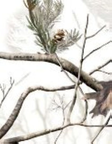 Picture of LENSCOAT Canon 100-400 - Realtree AP Snow add on Piece
