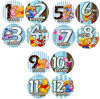Picture of Baby Monthly Stickers | Blue Winnie Pooh Baby Milestone Sticker | Infant Newborn Boy Photo Prop | Month Bodysuit Stickers for Babies | Cute Winnie Pooh Friends Newborn Monthly Milestones (Set of 12)