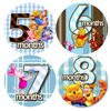 Picture of Baby Monthly Stickers | Blue Winnie Pooh Baby Milestone Sticker | Infant Newborn Boy Photo Prop | Month Bodysuit Stickers for Babies | Cute Winnie Pooh Friends Newborn Monthly Milestones (Set of 12)