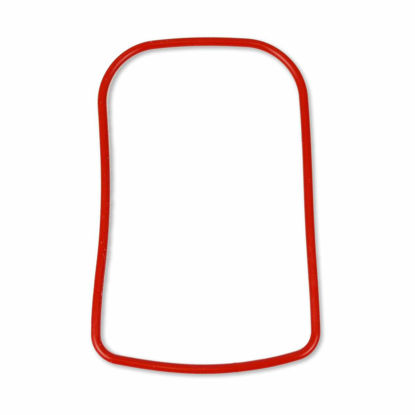 Picture of O Ring (1) for DC2000 Housing