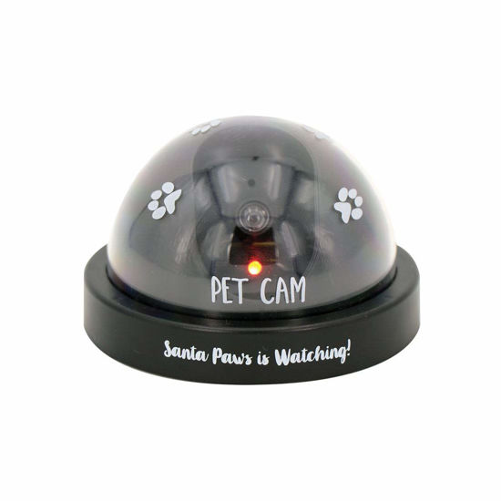 Picture of DEI Santa Cam LED Light