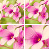 Picture of Zeikos ZE-CU472 Closeup Filter Set 72MM (4-Piece)
