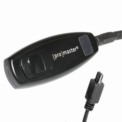 Picture of Promaster Remote - Fuji RR80