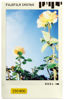 Picture of instax Mini Film, Photo Slide Border Design, 10 Shot Pack for use with All instax Mini Series Instant Cameras and Printers