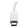 Picture of Tripp Lite USB C to DVI Video Adapter Converter 1080p w/ USB-C PD Charging, Thunderbolt 3 Compatible, USB Type C, USB Type-C (U444-06N-D-C)