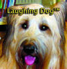 Picture of Laughing Dog CD