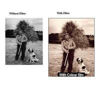 Picture of Cokin Creative Filter A005 Sepia