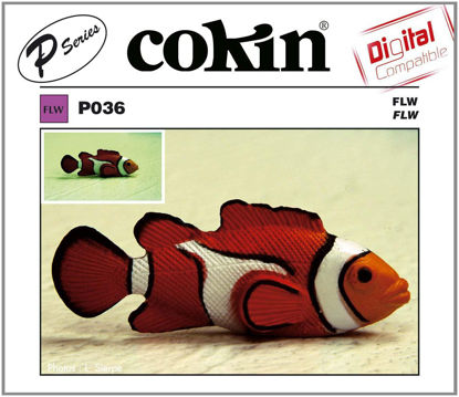 Picture of Cokin P036 Filter, P, Flw