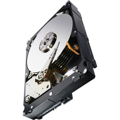 Picture of Seagate 1TB Enterprise Capacity HDD SATA 6Gb/s 128MB Cache 3.5-Inch Internal Bare Drive (ST1000NM0033),black
