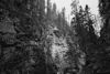 Picture of Cinestill DF96 Developer and Fix Monobath for Black and White Film