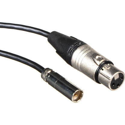 Picture of Blackmagic Design 19.5" Mini XLR Cable for Video Assist 4K Camera Monitor, Set of 2