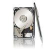 Picture of Seagate 1TB Enterprise Capacity HDD SAS 6Gb/s 128MB Cache 3.5-Inch Internal Bare Drive (ST1000NM0023)