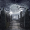 Picture of SJOLOON Halloween Backdrop Vinyl Photo Background Halloween Photography Backdrop Moon Night Backdrop Studio Props 9382(10x10FT)
