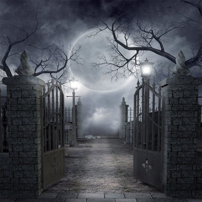 Picture of SJOLOON Halloween Backdrop Vinyl Photo Background Halloween Photography Backdrop Moon Night Backdrop Studio Props 9382(10x10FT)