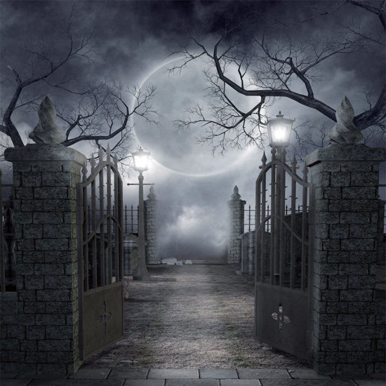 Picture of SJOLOON Halloween Backdrop Vinyl Photo Background Halloween Photography Backdrop Moon Night Backdrop Studio Props 9382(10x10FT)
