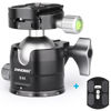 Picture of Low Profile Tripod Ball Head-INNOREL 360°Panoramic CNC Metal Camera Tripod Ballhead with 1/4" Arca Swiss Universal Quick Release Plate for Tripods,Monopod,DSLR Cameras,Camcorder,Max Load 20kg (E40)