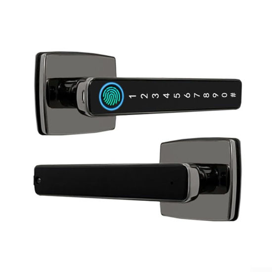 Picture of YMVDYID Easily Rechargeable Electronic Lock Featuring Biometric and Password Unlocking Options/1404