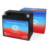 Picture of AJC ATX20HL Powersports Battery