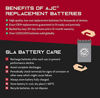 Picture of AJC ATX20HL Powersports Battery