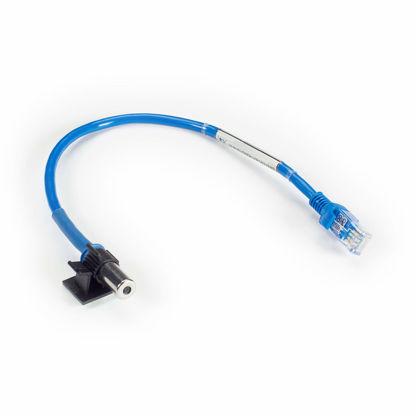 Picture of ALERTWERKS Dual Temp/HUMID 1 FT Cable