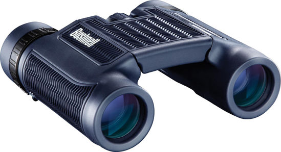 Picture of Bushnell H2O Waterproof Compact Roof Prism Binocular, 10 x 25-mm, Black