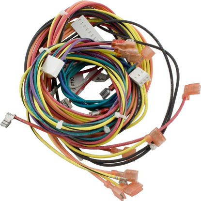 Picture of Raypak Wire Harness Iid 009490F