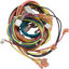 Picture of Raypak Wire Harness Iid 009490F