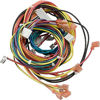 Picture of Raypak Wire Harness Iid 009490F