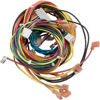 Picture of Raypak Wire Harness Iid 009490F