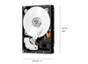Picture of Western Digital 6TB WD Red Pro NAS Internal Hard Drive HDD - 7200 RPM, SATA 6 Gb/s, CMR, 256 MB Cache, 3.5" - WD6003FFBX