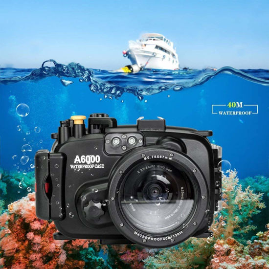 Picture of Sea Frogs 130ft/40m Underwater Camera Housing Waterproof Diving Case for Sony A6000 with 16-50mm Lens (Housing + Red Filter)