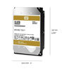 Picture of WD Gold 6TB Enterprise Class Hard Disk Drive - 7200 RPM Class SATA 6 Gb/s 128MB Cache 3.5 Inch - WD6002FRYZ